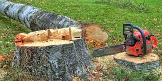 Best Arborist Consultation Services  in Perry, KS