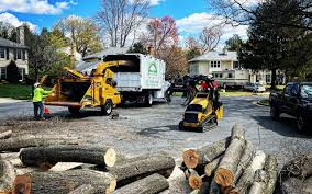 Best Lawn Pest Prevention  in Perry, KS